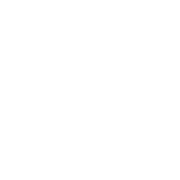 02-Woolworths-Group Woolworths Group logo showcased as an Escalate Consulting business continuity client
