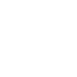 07-Perenti Perenti logo showcased as an Escalate Consulting business continuity client