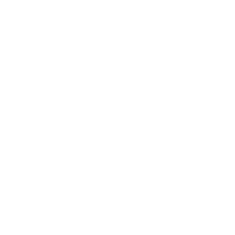 08-Programmed Programmed logo showcased as an Escalate Consulting business continuity client